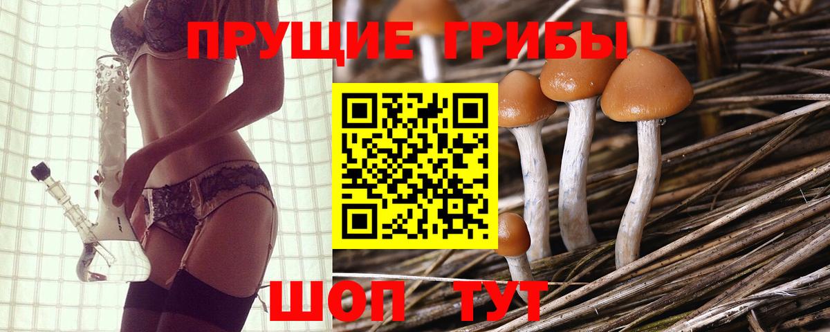 цена наркотик  Галлюциногенные грибы ЛСД  Кольчугино  Вход с VPN  Галлюциногенные грибы прущие грибы 
